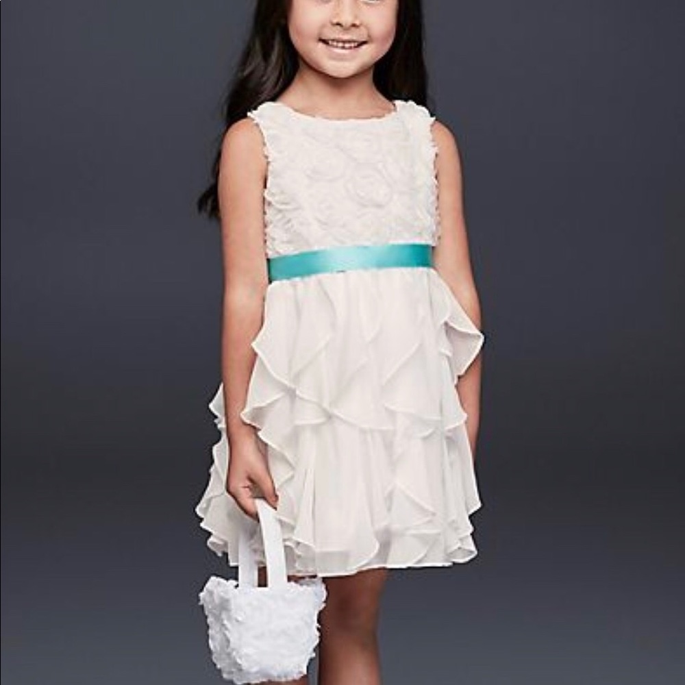 Flower girl dress NWT